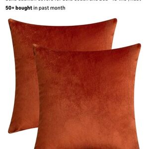 Set of 3 Rust Accent Pillows Covers (non-smoking home)